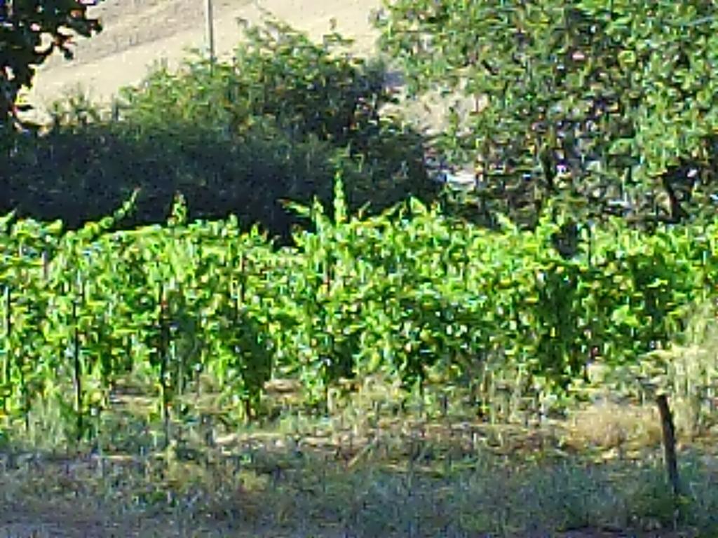 Agriturismo San Pietro Gangi Exterior foto
